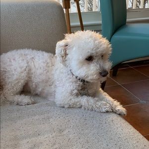 Meet your Posher, Daniel